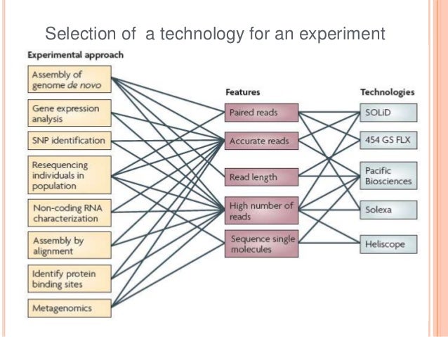 Whole genome sequencing of bacteria & analysis