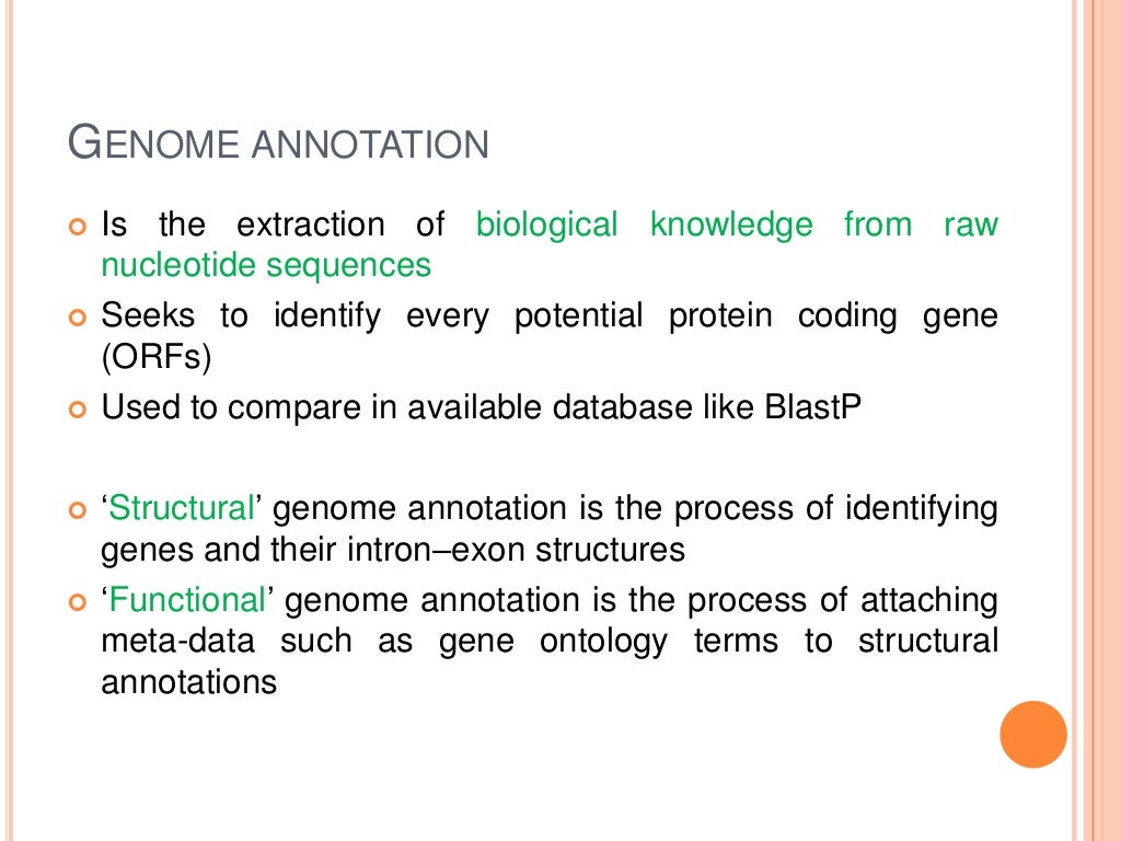 Whole genome sequencing of bacteria & analysis