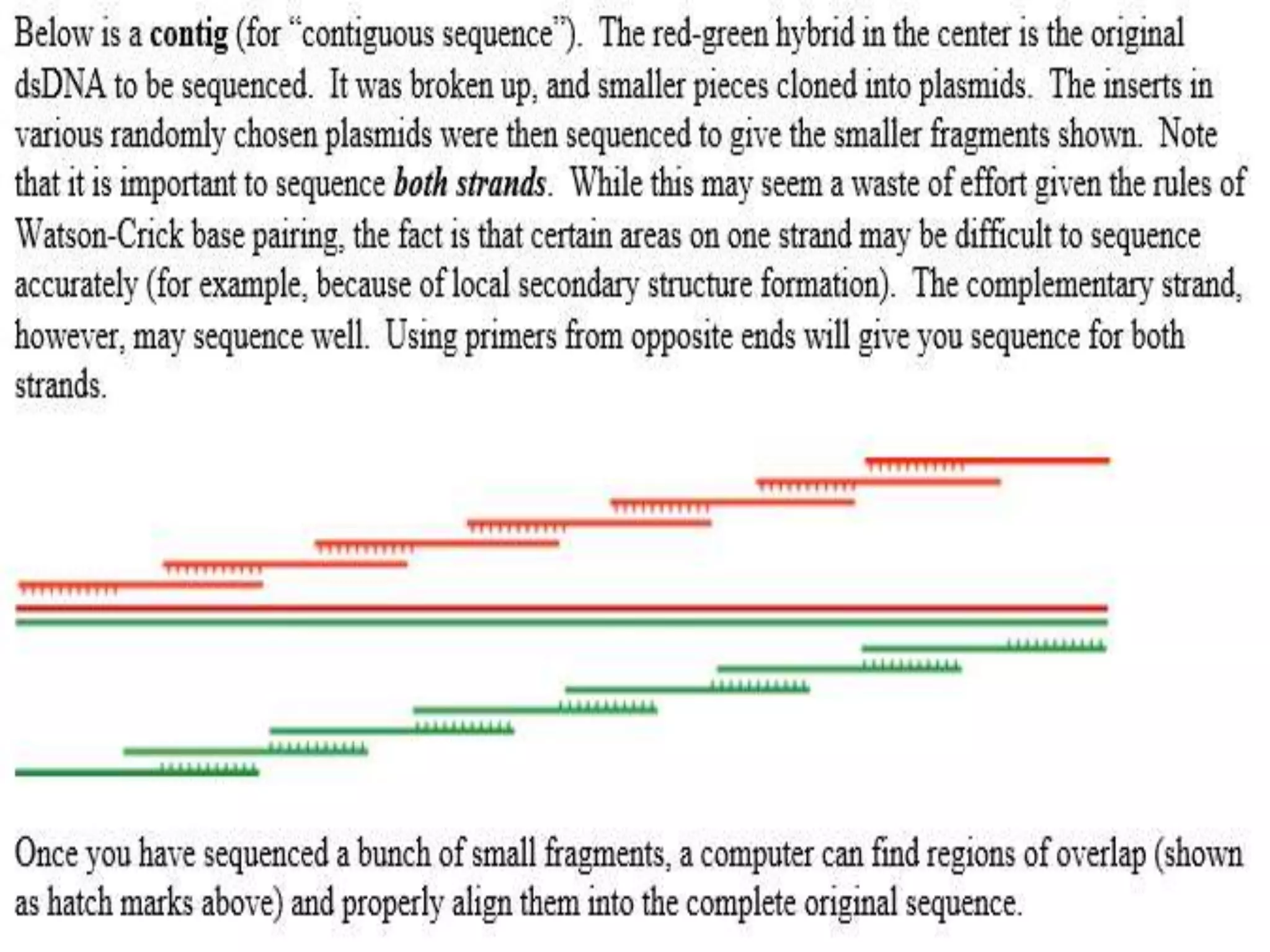 Whole genome shotgun sequencing | PPTX