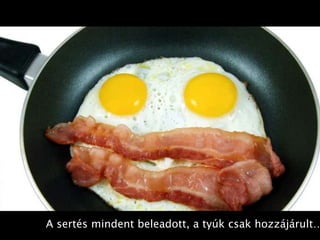 A sertés mindent beleadott, a tyúk csak hozzájárult…
 