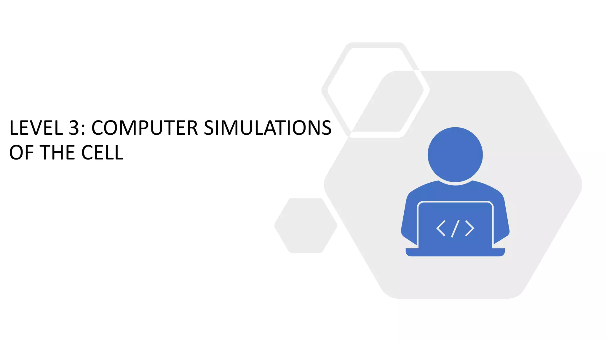 LEVEL 3: COMPUTER SIMULATIONS
OF THE CELL
 