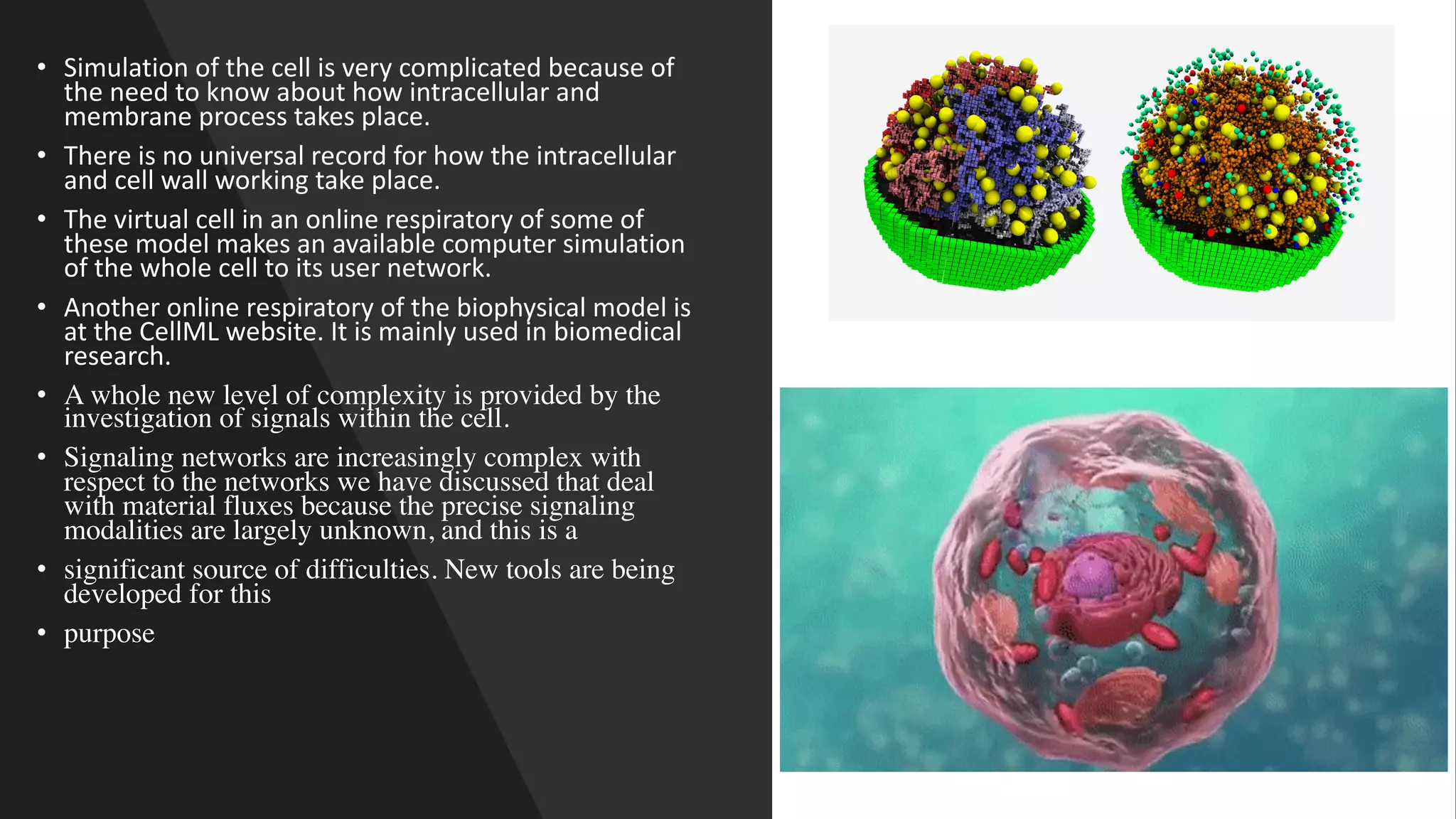 • Simulation of the cell is very complicated because of
the need to know about how intracellular and
membrane process takes place.
• There is no universal record for how the intracellular
and cell wall working take place.
• The virtual cell in an online respiratory of some of
these model makes an available computer simulation
of the whole cell to its user network.
• Another online respiratory of the biophysical model is
at the CellML website. It is mainly used in biomedical
research.
• A whole new level of complexity is provided by the
investigation of signals within the cell.
• Signaling networks are increasingly complex with
respect to the networks we have discussed that deal
with material fluxes because the precise signaling
modalities are largely unknown, and this is a
• significant source of difficulties. New tools are being
developed for this
• purpose
 