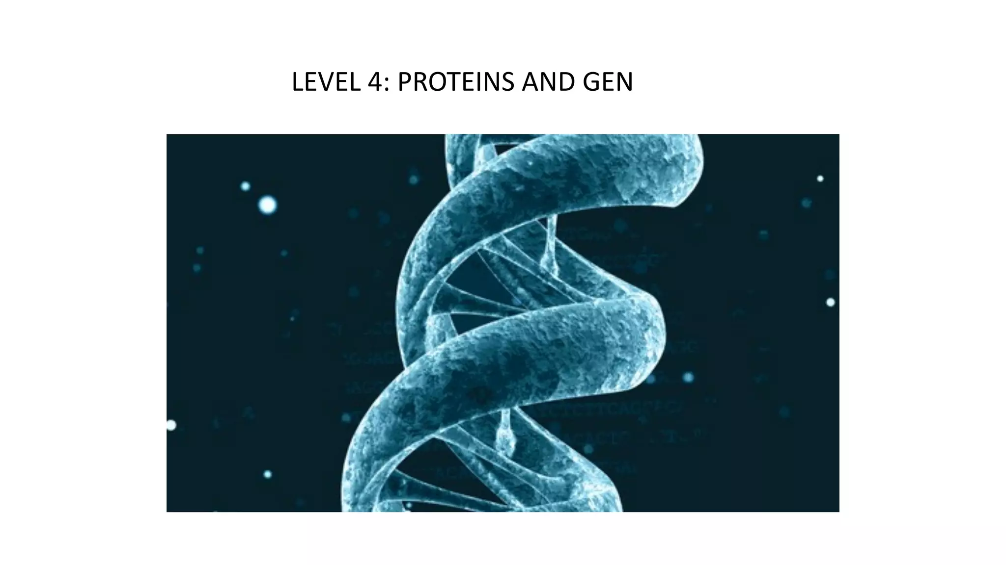 LEVEL 4: PROTEINS AND GEN
 