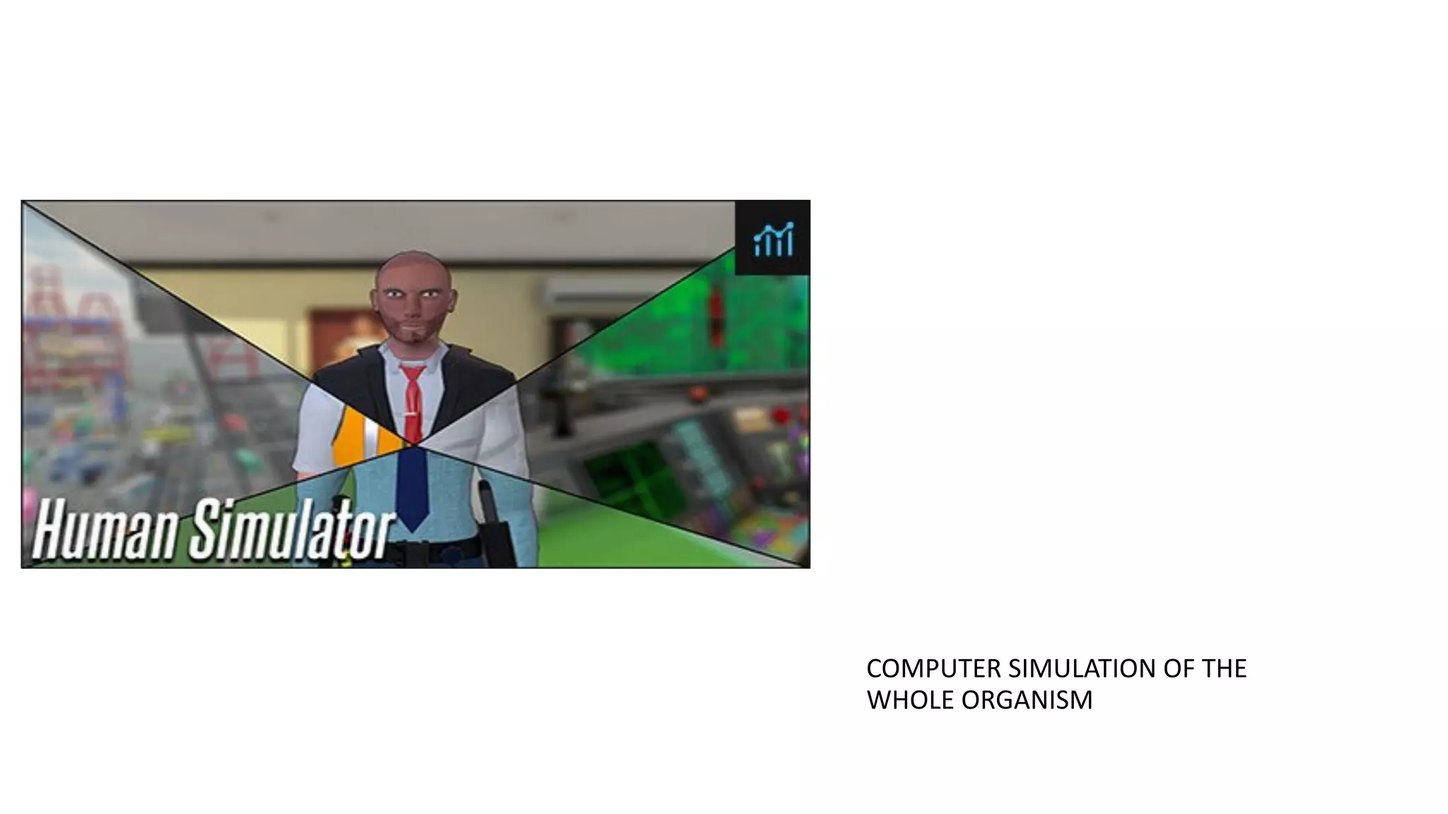 COMPUTER SIMULATION OF THE
WHOLE ORGANISM
 