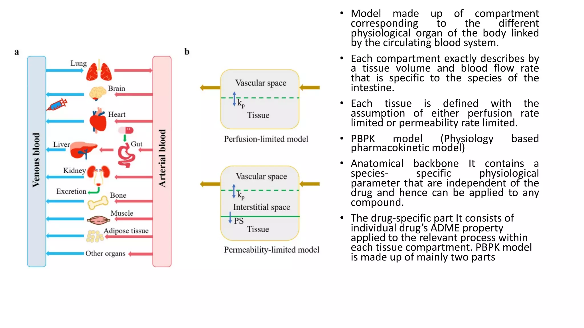 • Model made up of compartment
corresponding to the different
physiological organ of the body linked
by the circulating blood system.
• Each compartment exactly describes by
a tissue volume and blood flow rate
that is specific to the species of the
intestine.
• Each tissue is defined with the
assumption of either perfusion rate
limited or permeability rate limited.
• PBPK model (Physiology based
pharmacokinetic model)
• Anatomical backbone It contains a
species- specific physiological
parameter that are independent of the
drug and hence can be applied to any
compound.
• The drug-specific part It consists of
individual drug’s ADME property
applied to the relevant process within
each tissue compartment. PBPK model
is made up of mainly two parts
 