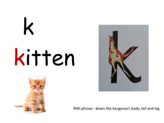 k
kitten

     RWI phrase - down the kangaroo’s body, tail and leg
 
