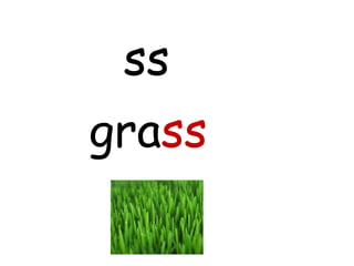 ss
grass
 