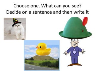 Choose one. What can you see?
Decide on a sentence and then write it
 