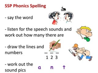 SSP Phonics Spelling

- say the word

- listen for the speech sounds and
work out how many there are

- draw the lines and
numbers              _ _ _
                     1 2 3
- work out the
sound pics
                  a    n   t
 