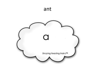 ant
 