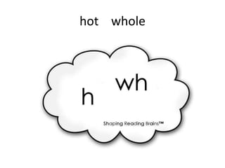hot whole
 