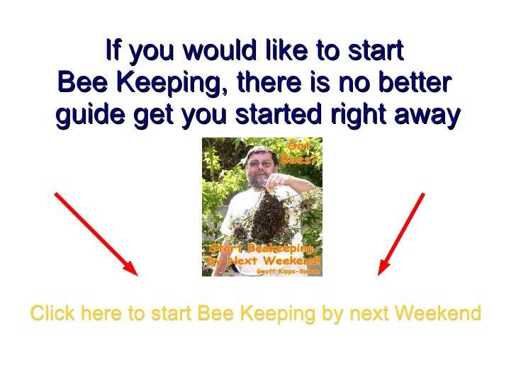 Wholesale beekeeping supplies