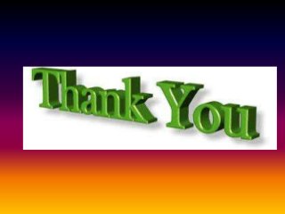 Wholesale Washi Tape Online: Lychee Craft Better Source