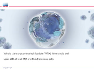 Sample to Insight
Whole transcriptome amplification (WTA) from single cell
Learn WTA of total RNA or mRNA from single cells
 