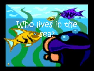 Who lives in the
sea?
 