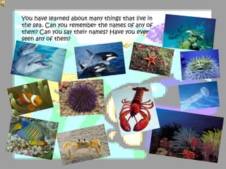 You have learned about many things that live in
the sea. Can you remember the names of any of
them? Can you say their names? Have you ever
seen any of them?
 