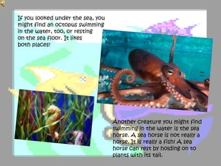 If you looked under the sea, you
might find an octopus swimming
in the water, too, or resting
on the sea floor. It likes
both places!
Another creature you might find
swimming in the water is the sea
horse. A sea horse is not really a
horse. It is really a fish! A sea
horse can rest by holding on to
plants with its tail.
 