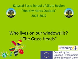 Who lives on our windowsills?
“The Grass Heads”
Katyciai Basic School of Silute Region
“Healthy Herbs Outlook”
2015-2017
 