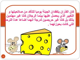 كان الفأران يتفقدان الجبنة يوميا للتأكد من صلاحيتها و التغيير الذي يحصل عليها بينما الرجلان كانا غير مهتمين بذلك بل كانا غير حريصين لدرجة انهما أضاعا عدة الترحال التي كانت بحوزتهما  .   