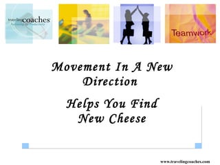 Movement In A New Direction  Helps You Find New Cheese 