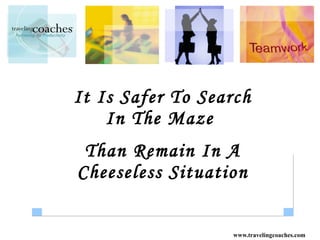 It Is Safer To Search In The Maze  Than Remain In A Cheeseless Situation 