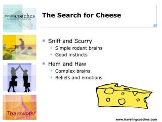 The Search for Cheese Sniff and Scurry Simple rodent brains Good instincts Hem and Haw Complex brains Beliefs and emotions 