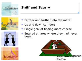 Sniff and Scurry


   Farther and farther into the maze
   Up and down corridors
   Single goal of finding more cheese
   Entered an area where they had never
    been




                            www.travelingcoach
                            es.com
 