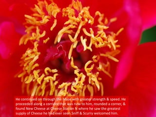 He continued on through the Maze with greater strength & speed. He
proceeded along a corridor that was new to him, rounded a corner, &
found New Cheese at Cheese Station N where he saw the greatest
supply of Cheese he had ever seen.Sniff & Scurry welcomed him.
 