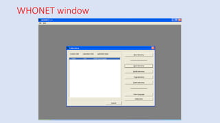WHONET window
 
