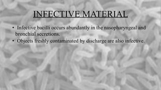 INFECTIVE MATERIAL
• Infective bacilli occurs abundantly in the nasopharyngeal and
bronchial secretions.
• Objects freshly contaminated by discharge are also infective.
 
