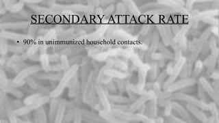 SECONDARY ATTACK RATE
• 90% in unimmunized household contacts.
 