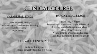 CLINICAL COURSE
CATARRHAL STAGE
Lasts for about 10 days
Insidious onset, lacrimation, sneezing,
coryza, anorexia, malaise, hacking
night cough
PAROXYSMAL STAGE
Lasts for 2-4 weeks
Bursts of rapid, consecutive coughs followed by
deep, high pitched inspiration(whoop).
Followed by vomiting
Young infants- cyanosis and apnoea
Adults & adolescent-persistent cough
CONVALESCENT STAGE
Lasts for 1-2 weeks
Illness generally lasts for 6-8 weeks.
 