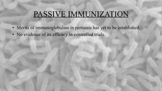 PASSIVE IMMUNIZATION
• Merits of immunoglobulins in pertussis has yet to be established.
• No evidence of its efficacy in controlled trials.
 