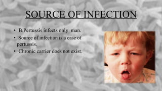 SOURCE OF INFECTION
• B.Pertussis infects only man.
• Source of infection is a case of
pertussis.
• Chronic carrier does not exist.
 