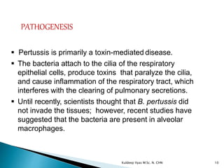 Pertussis is primarily a toxin-mediated disease.
 The bacteria attach to the cilia of the respiratory
epithelial cells, produce toxins that paralyze the cilia,
and cause inflammation of the respiratory tract, which
interferes with the clearing of pulmonary secretions.
 Until recently, scientists thought that B. pertussis did
not invade the tissues; however, recent studies have
suggested that the bacteria are present in alveolar
macrophages.
PATHOGENESIS
10Kuldeep Vyas M.Sc. N. CHN
 