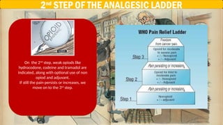 WHO pain ladder in surgery, anasthesia, orthopedics | PPTX