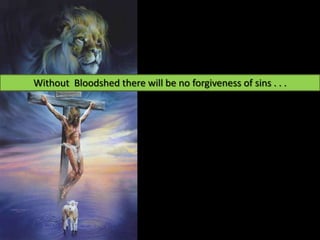 Without Bloodshed there will be no forgiveness of sins . . .
 