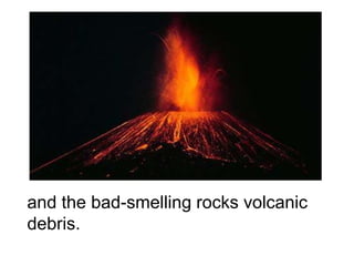 Whoreallydiscoveredamerica