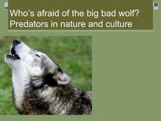 Who’s afraid of the big bad wolf? Predators in nature and culture 