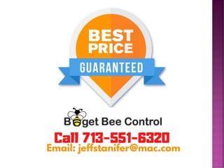 Who’s a professional bee removal company Houston?