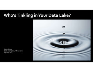 Karen Lopez
Data Evangelist, InfoAdvisors
@DataChick
Who’sTinkling inYour Data Lake?
 