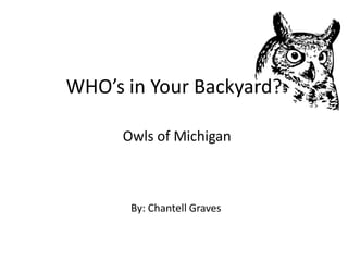 http://wwwcdn.net/ev/assets/i
                             mages/vectors/afbig/040be865
                             bc745607093acde0aa760531-
                             great-owl-clip-art.jpg




WHO’s in Your Backyard?

      Owls of Michigan



       By: Chantell Graves
 