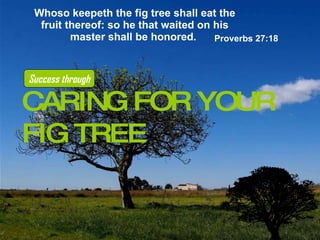 Whoso keepeth the fig tree shall eat the fruit thereof: so he that waited on his master shall be honored.   Proverbs 27:18   CARING FOR YOUR FIG TREE Success through 
