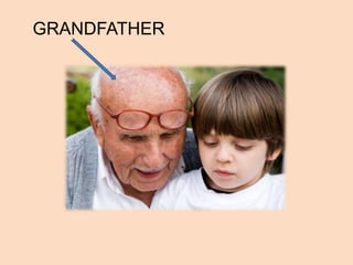 GRANDFATHER
 