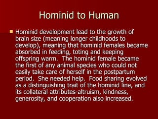 Hominid to Human Hominid development lead to the growth of brain size (meaning longer childhoods to develop), meaning that hominid females became absorbed in feeding, toting and keeping offspring warm.  The hominid female became the first of any animal species who could not easily take care of herself in the postpartum period.  She needed help.  Food sharing evolved as a distinguishing trait of the hominid line, and its collateral attributes-altruism, kindness, generosity, and cooperation also increased. 
