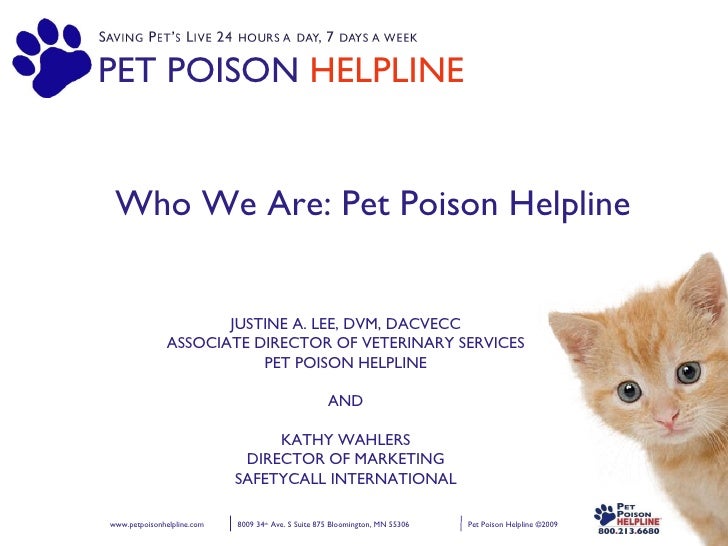 veterinary helpline