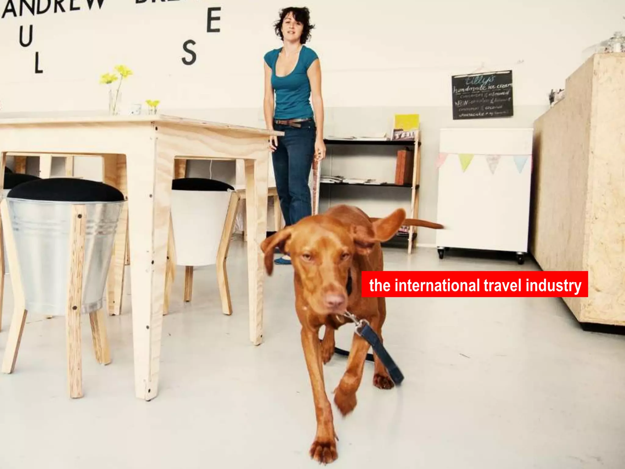 the international travel industry 