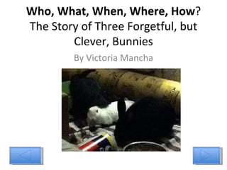 Who, What, When, Where, How ? The Story of Three Forgetful, but Clever, Bunnies By Victoria Mancha 