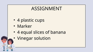 ASSIGNMENT
• 4 plastic cups
• Marker
• 4 equal slices of banana
• Vinegar solution
 