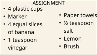 ASSIGNMENT
• 4 plastic cups
• Marker
• 4 equal slices
of banana
• 1 teaspoon
vinegar
• Paper towels
• ½ teaspoon
salt
• Lemon
• Brush
 